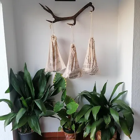 La Casa Barata,