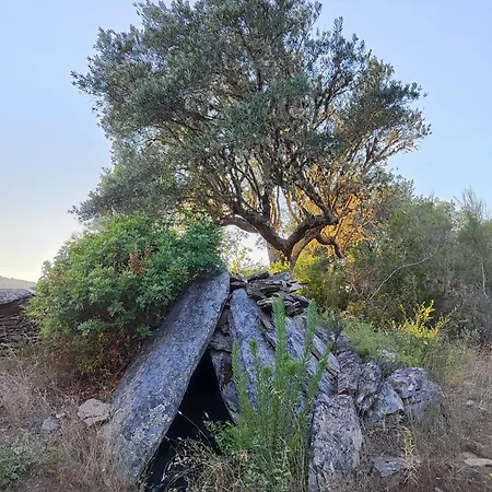 La Casa Barata, * Cedillo