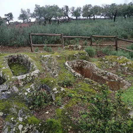 La Casa Barata, Cedillo