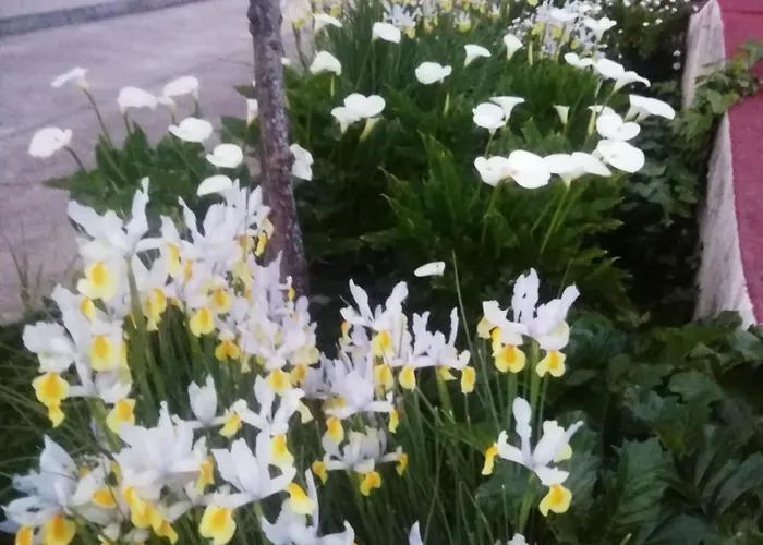 Landhaus La Casa Barata, Cedillo