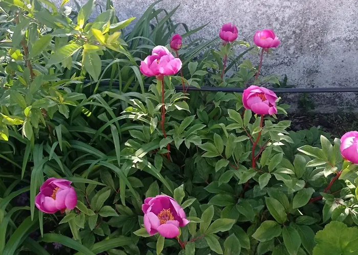 La Casa Barata, Landhaus *