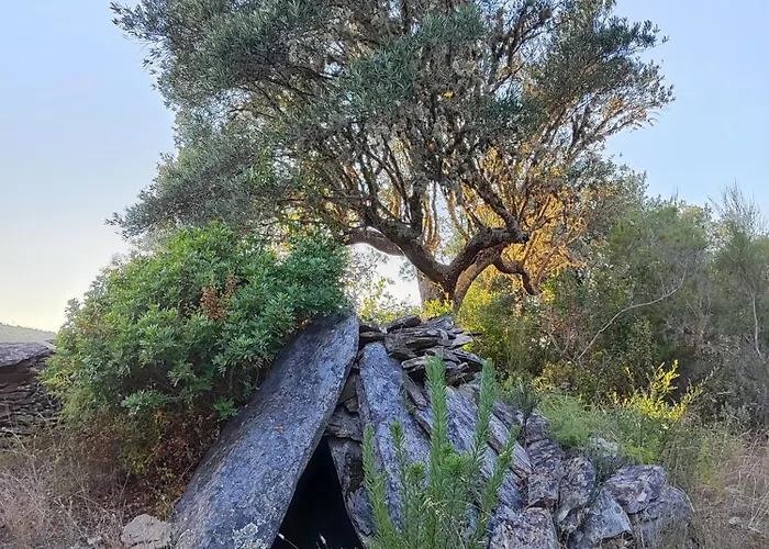 La Casa Barata, * Cedillo